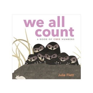 BOOK WE ALL COUNT