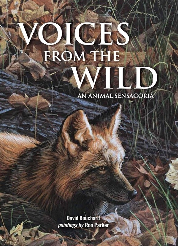 BOOK VOICES FROM THE WILD