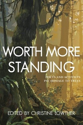 BOOK WORTH MORE STANDING