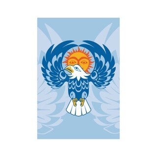 POSTCARD EAGLE SUN PC180