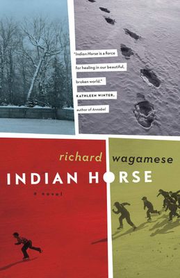 BOOK INDIAN HORSE