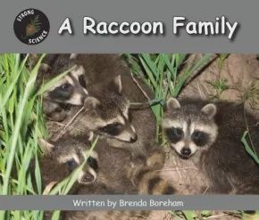 BOOK A RACCOON FAMILY