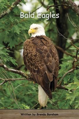 BOOK BALD EAGLES