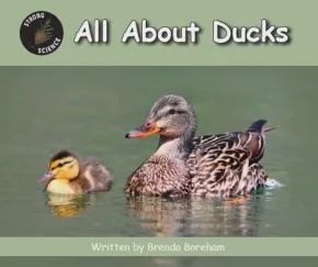 BOOK ALL ABOUT DUCKS