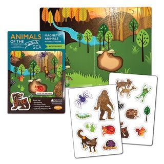 BOOK MAGNETIC ANIMALS OF THE SALISH FOREST