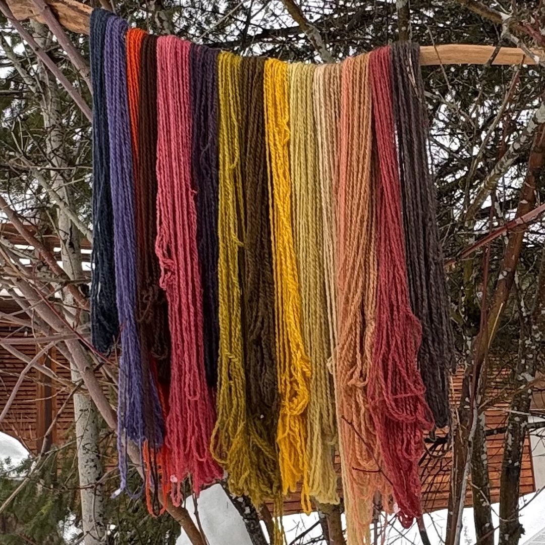 Natural Dyeing and Weaving with Plants and Mushrooms: Blending Traditional Knowledge and Science