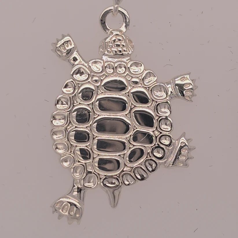 MEDIUM TURTLE TEACHINGS - PENDANT