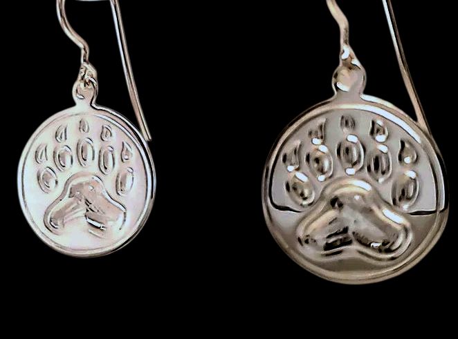MEDICINE TRACKER - SILVER EARRINGS