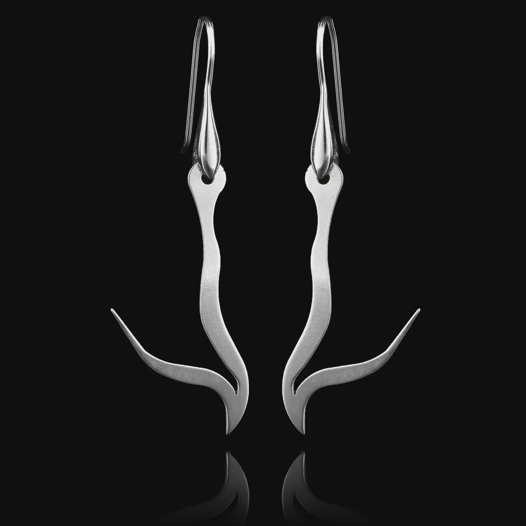 GENEROUS - SILVER EARRINGS