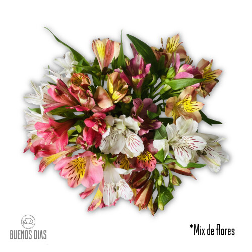 Bouquet Flores Astromelias