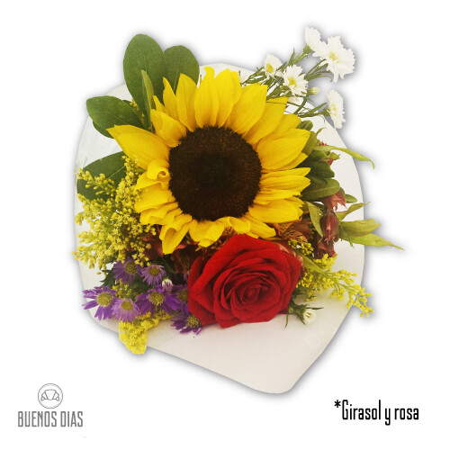 Girasol y Rosa