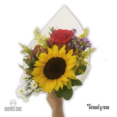 Girasol y Rosa