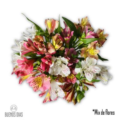 Bouquet Flores Astromelias