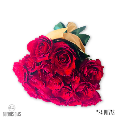 Ramo de 24 Rosas