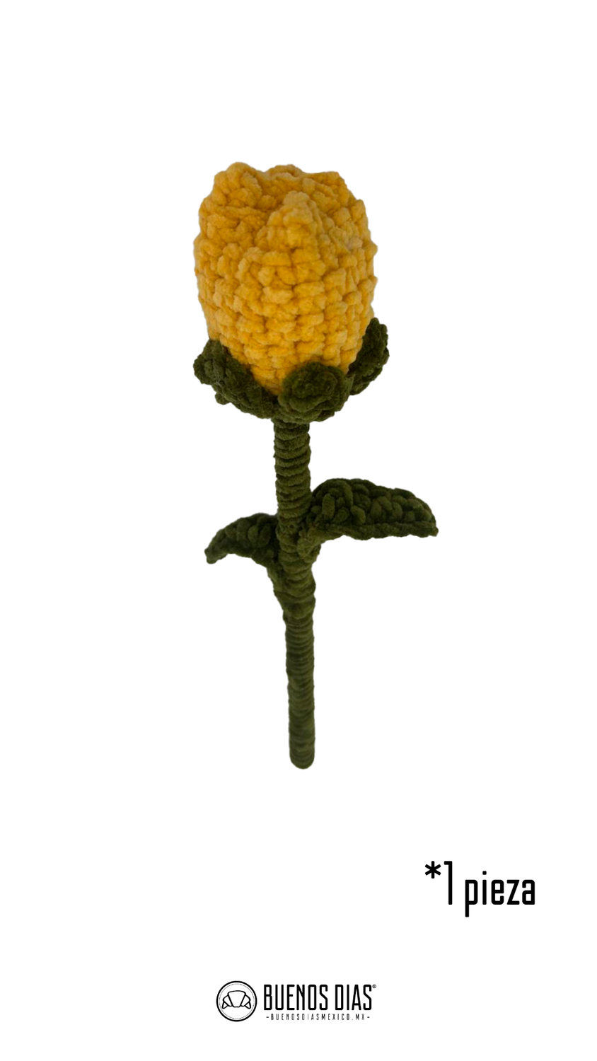 Tulipan Crochet
