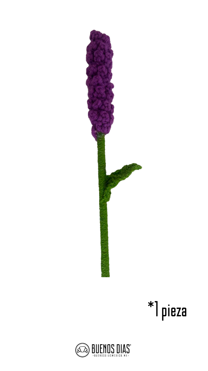 Lavanda Crochet
