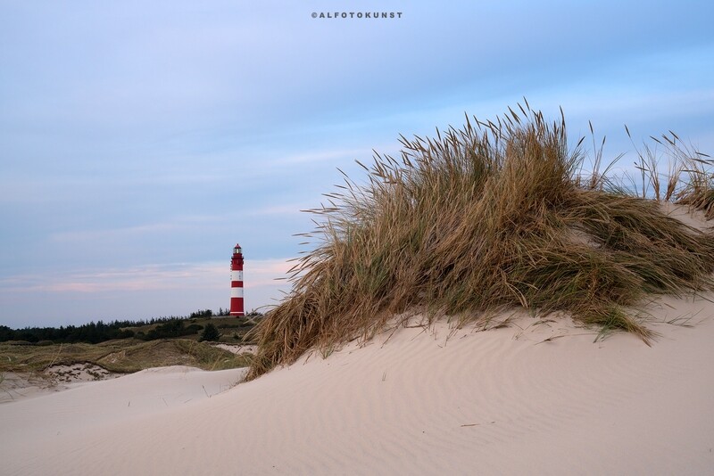 Wandbild Nordsee - Amrum: Dünenblick Wandbild Nordsee - Amrum: Dünenblick