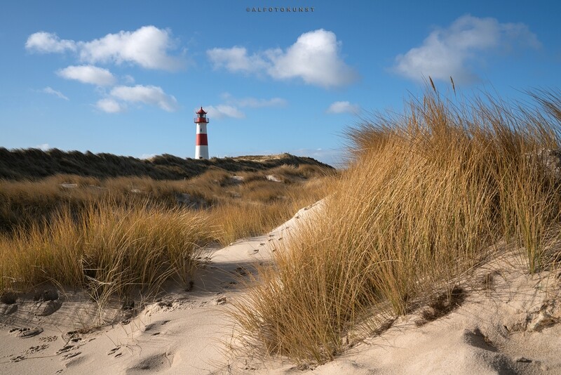 Wandbild Nordsee - Sylt: Dünenblick Wandbild Nordsee - Sylt: Dünenblick