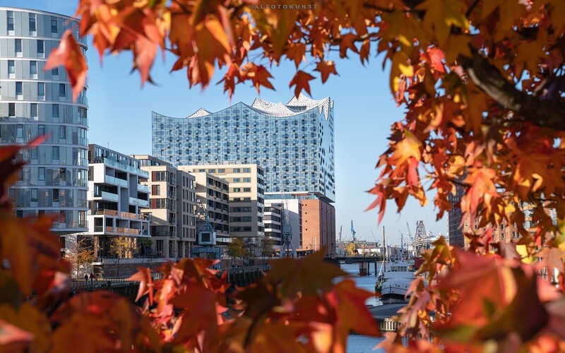 Wandbild Hamburg - Hafencity: Herbstfarben