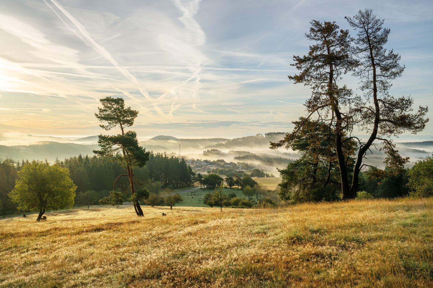 Wandbild Sagenhafte Eifel - Bergheide mit Blick auf Arft