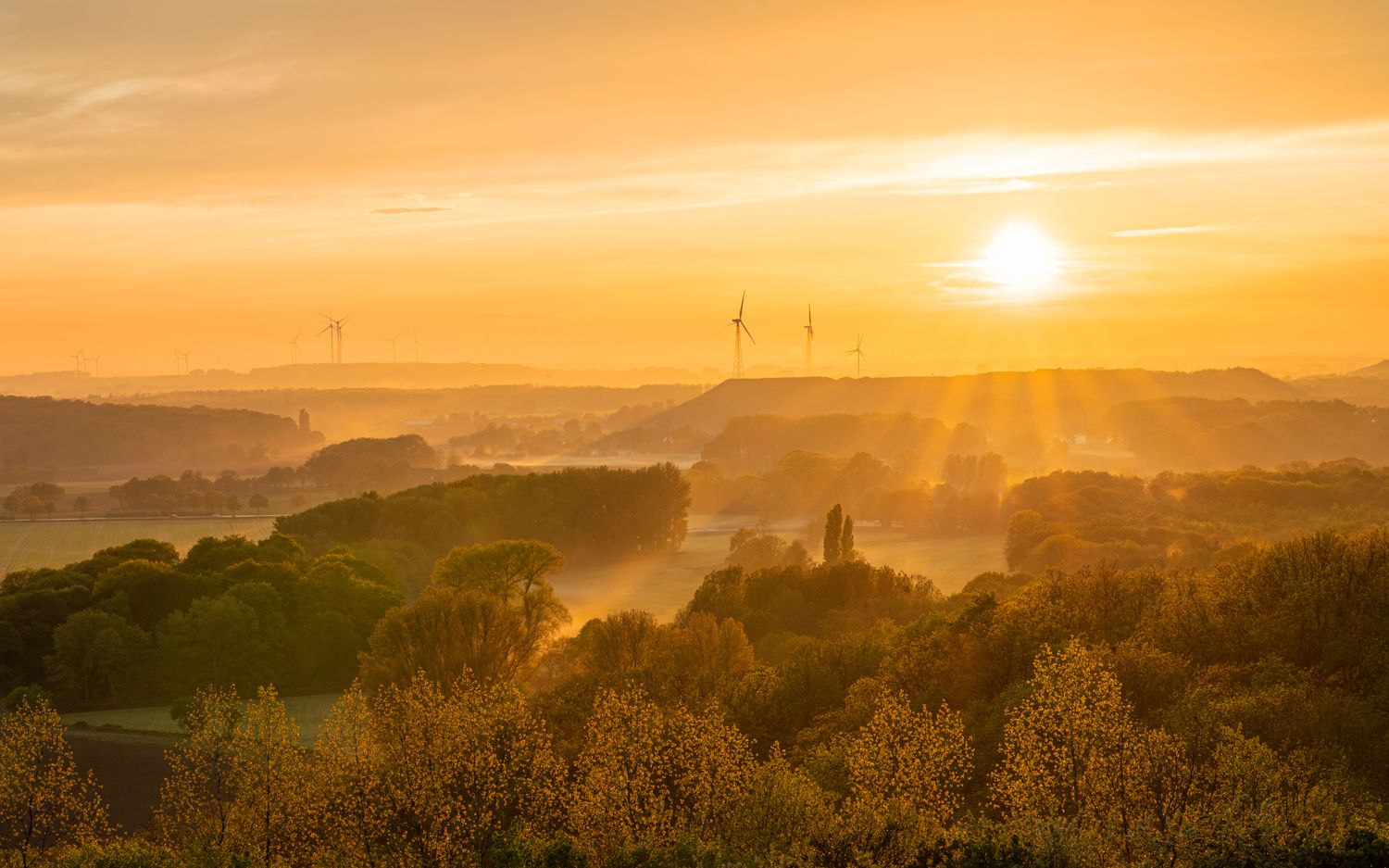 Wandbild Halde Norddeutschland - Abendlicht
