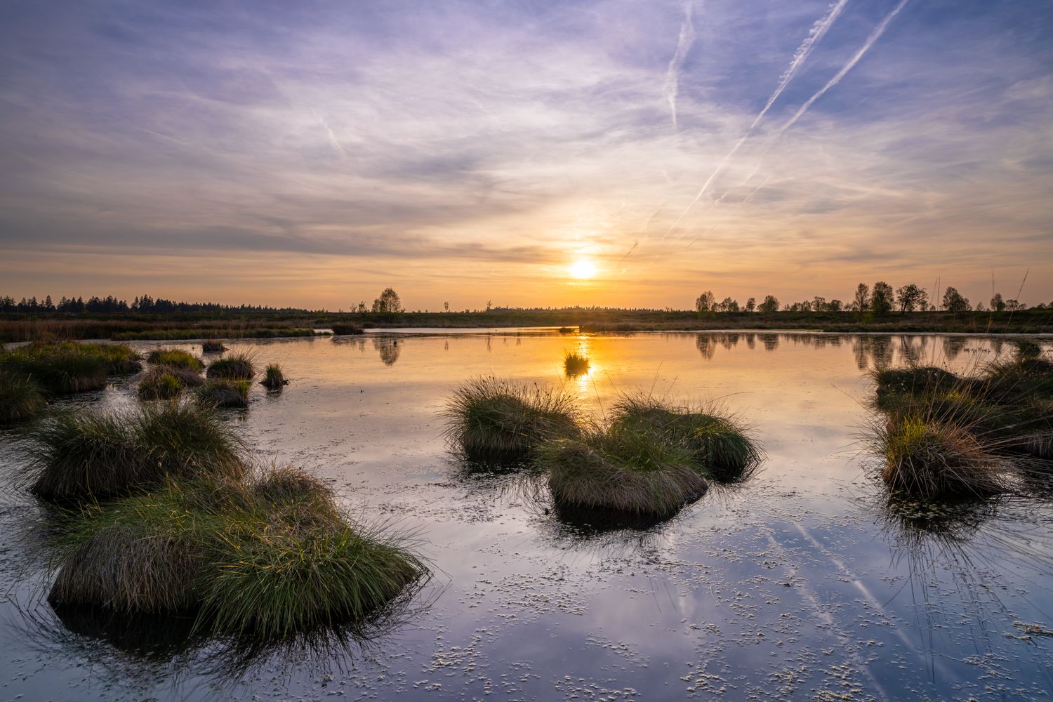 Wandbild Sagenhafte Eifel - Abends im Hohen Venn