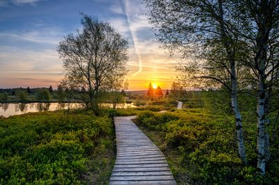Wandbild Sagenhafte Eifel - Sonnenaufgang im Hohen Venn