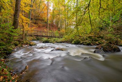 Wandbild Sagenhafte Eifel - Strohner Schweiz