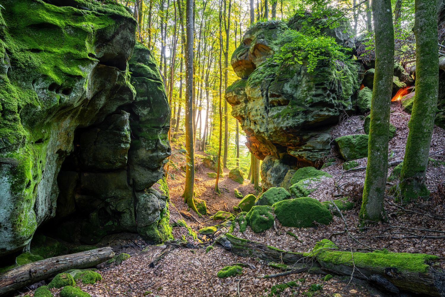 Wandbild Sagenhafte Eifel - Teufelsschlucht