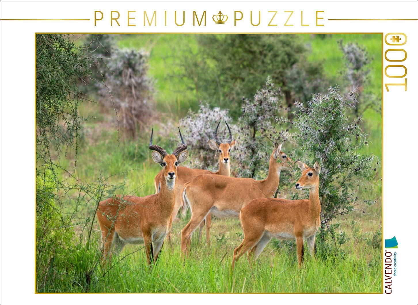 Puzzle Fernweh - Uganda-Kobs im Murchison Falls Nationalpark