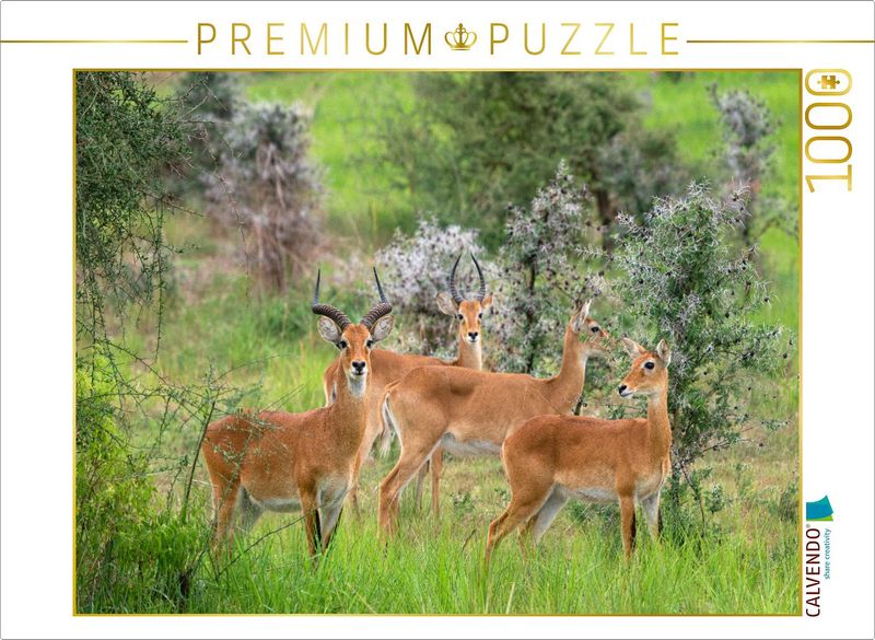 Puzzle Fernweh - Uganda-Kobs im Murchison Falls Nationalpark