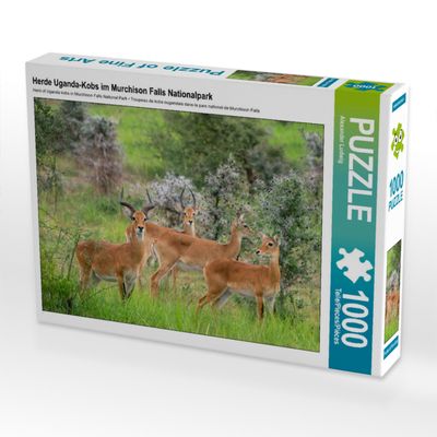 Puzzle Fernweh - Uganda-Kobs im Murchison Falls Nationalpark