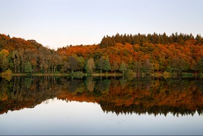 Wandbild Sagenhafte Eifel - Herbst am Holzmaar