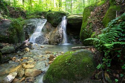 Wandbild Sagenhafte Eifel - Im Hällbachtal