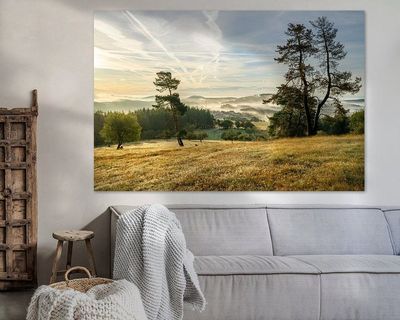Wandbild Sagenhafte Eifel - Morgenstimmung in der Bergheide