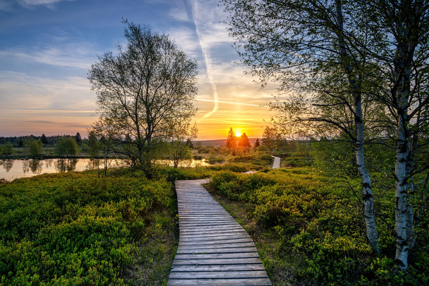 Wandbild Sagenhafte Eifel - Sonnenaufgang im Brackvenn