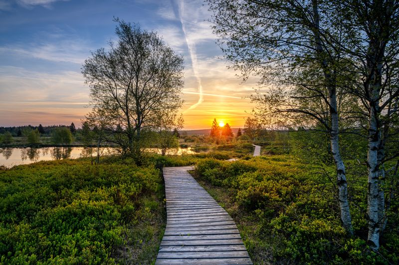Wandbild Sagenhafte Eifel - Sonnenaufgang im Brackvenn