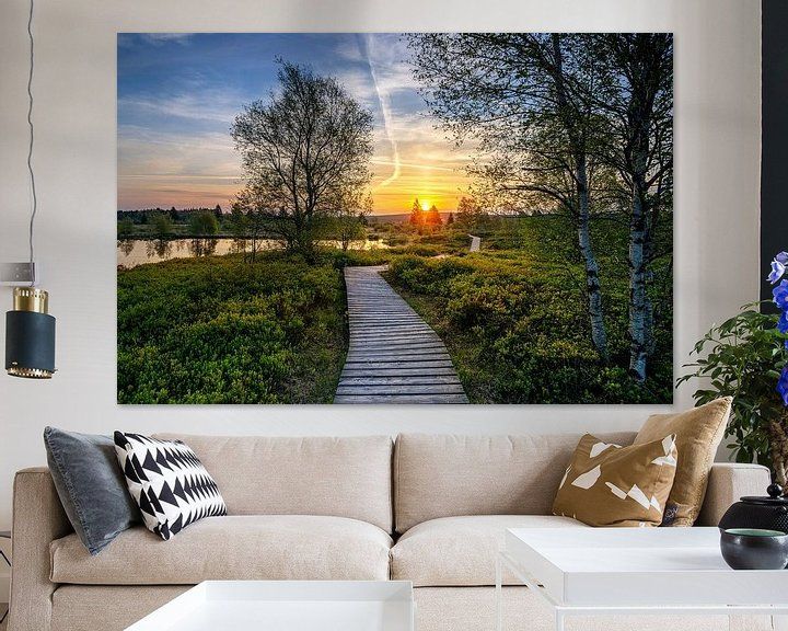 Wandbild Sagenhafte Eifel - Sonnenaufgang im Brackvenn
