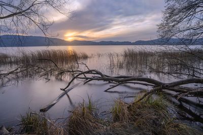 Wandbild Sagenhafte Eifel - Morgenruhe am Laacher See