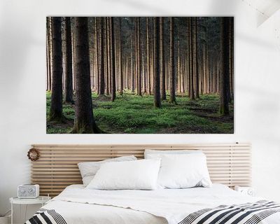 Wandbild Sagenhafte Eifel - Zitterwald