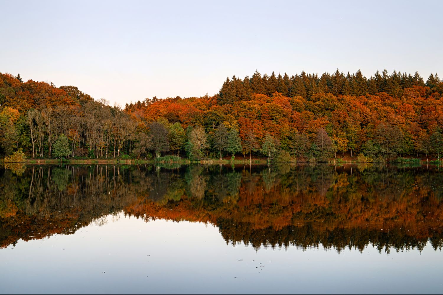 Wandbild Sagenhafte Eifel - Herbst am Holzmaar