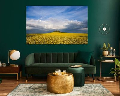 Wandbild Sagenhafte Eifel - Rapsfelder unter dramatischen Wolken