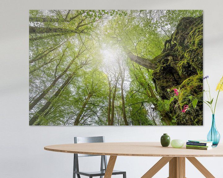 Wandbild Sagenhafte Eifel - Salmwald