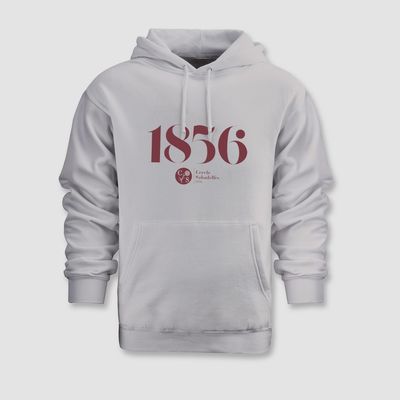 DESSUADORA GRIS