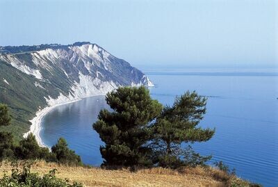 Marche