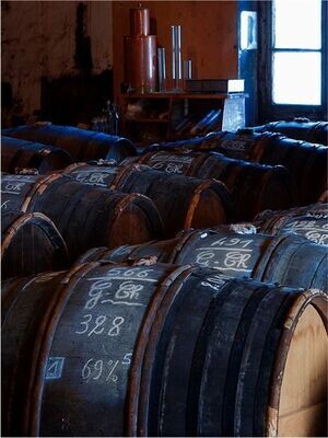 Armagnac e Cognac