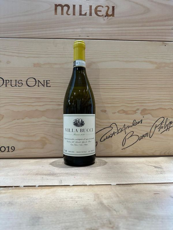 Verdicchio Castelli di Jesi Riserva DOCG " Villa Bucci  "  2020