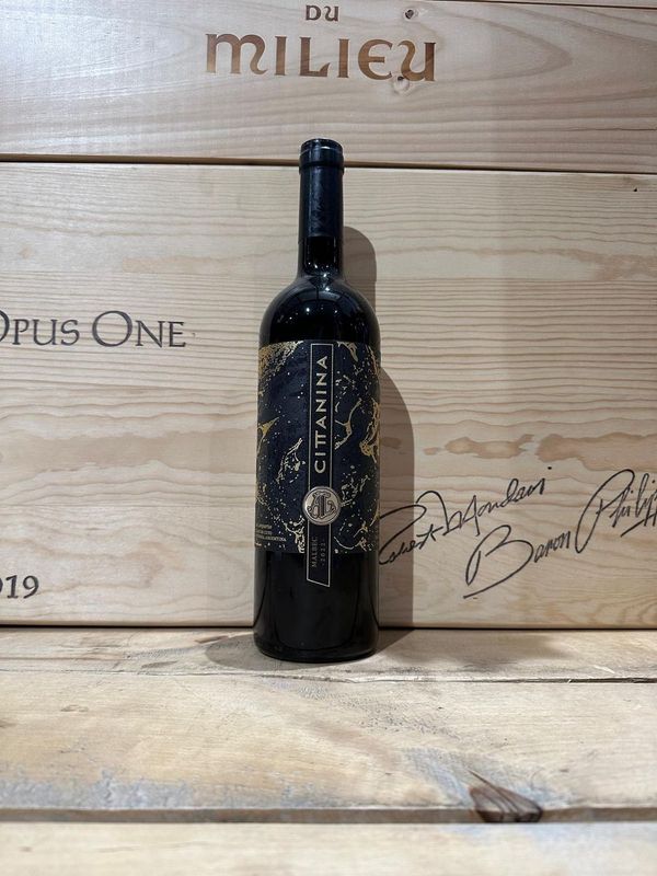 Malbec " Pasion " Cittanina 2022