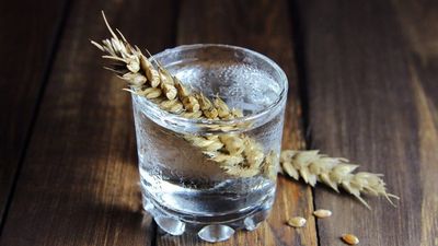 Vodka