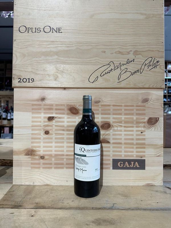 Vino Quintodecimo " Cuvèe Moio " bianco 2022